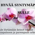 Hyvää syntymäpäivää sulle